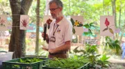 javeriana-biodiversa-cop16-activación