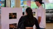 Muralismo y fotografía, una oda a la biodiversidad de la Javeriana Cali que engalana los pasillos del Centro Comercial Jardín Plaza 