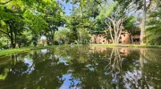 javeriana-biodiversidad-ciencia-investigacion