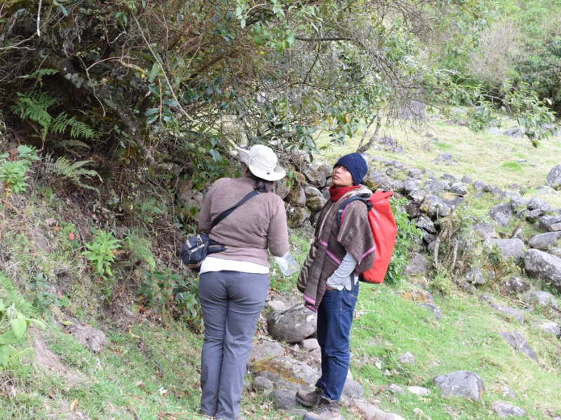 prácticas de estudiantes de la Javeriana Cali en Silvia, Cauca