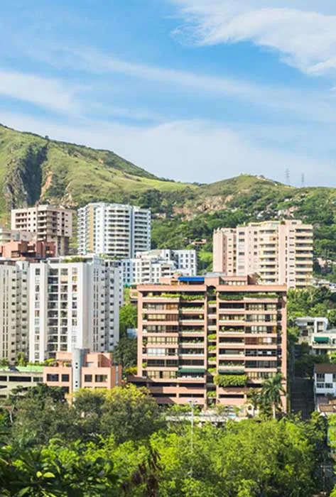 Boletín Cali Visible 2009